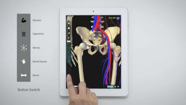 teamLabBody -3D Motion Human Anatomy- 3D ALL BODY MODE