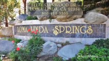 Loma Linda Springs SENIOR 55  Apartments in Loma Linda, CA - ForRent.com