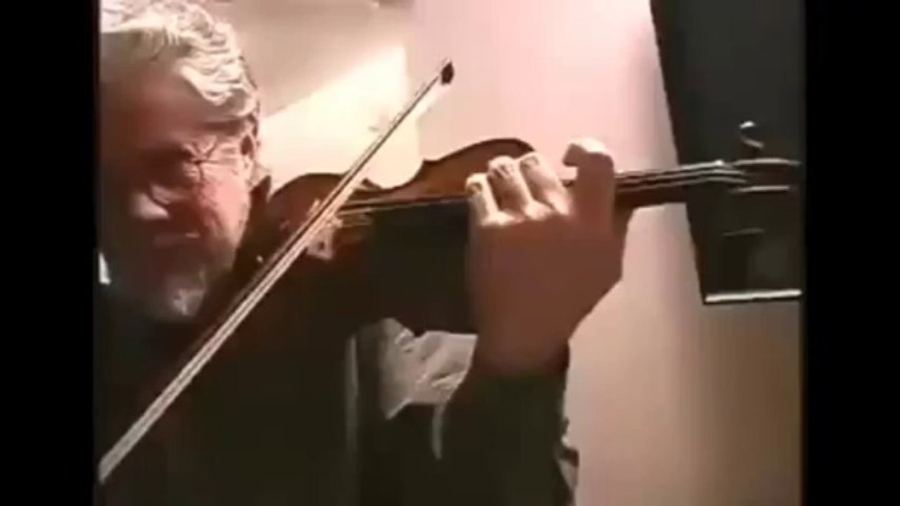 Violin Master Pro   How to Play Violin