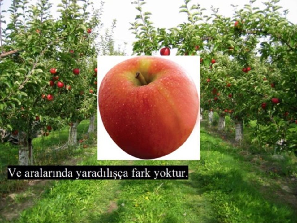 "Dağınık Bir Nev'in İcadındaki Suhulet-i Harika Vahdet ve Tevhid Sırrına Bağlıdır"