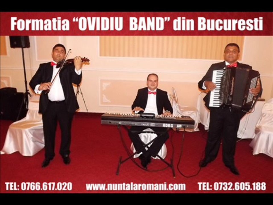 FORMATIA OVIDIU BAND-MUZICA DE NUNTA LIVE 2013 INSTRUMENTALA