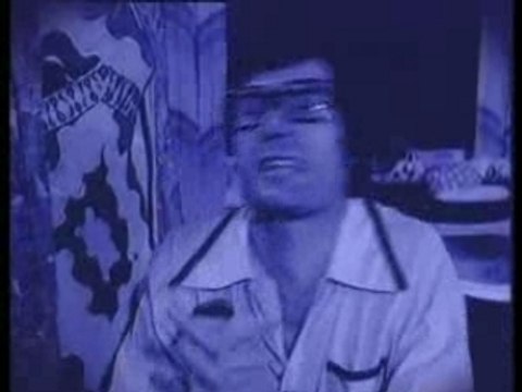 La Famille Wallace Et L'Ours Maturin