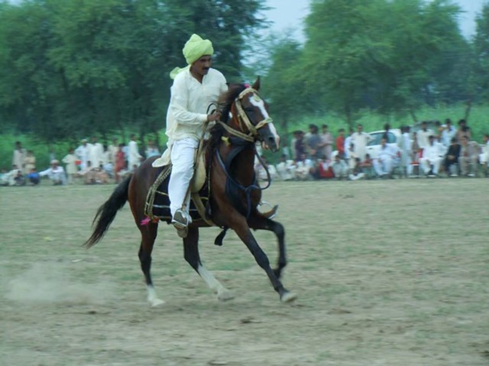 Mela Kanjwani (456)