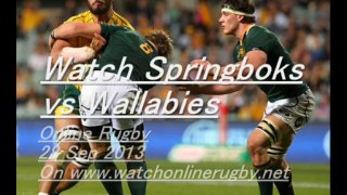 Watch Rugby Match Springboks vs Wallabies Online