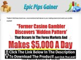 Epic Pips Gainer Free Download   Epic Pips Gainer