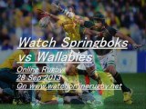 Live Rugby Springboks vs Wallabies