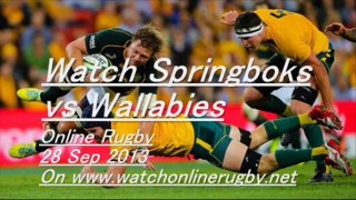 Watch Rugby Live Springboks vs Wallabies