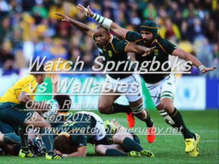Watch Springboks vs Wallabies