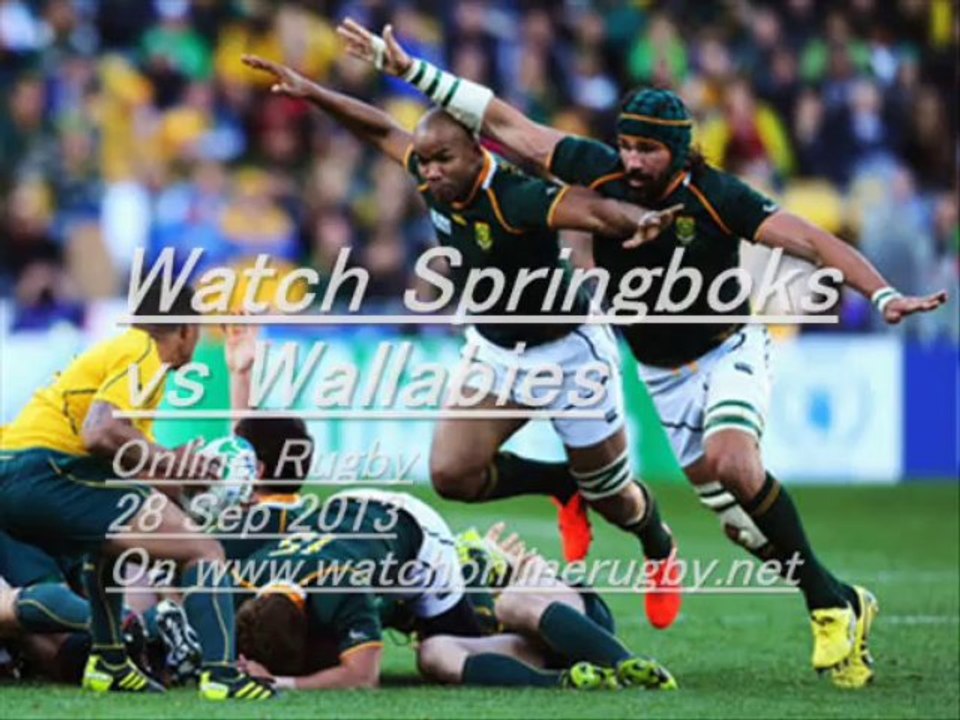 Watch Springboks vs Wallabies