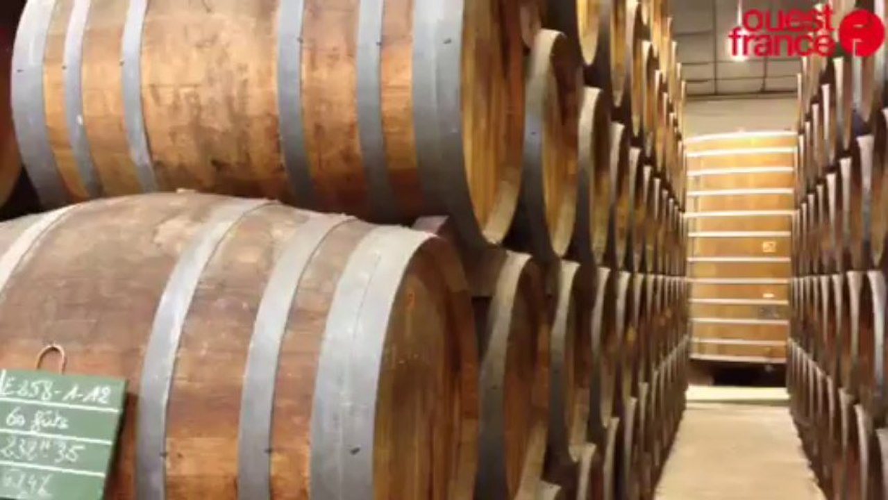 Visite de l'entreprise Calvados pere Magloire - Visite de l'entreprise Calvados pere Magloire