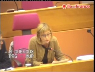 CR IDF - Audition de Nicolas Dufourcq, DG de BPI France