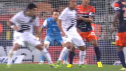 J7. MHSC/SRFC : le résumé vidéo