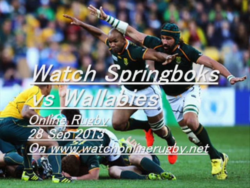 Streaming Springboks vs Wallabies