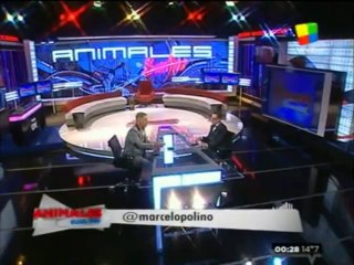 Fantino , mano a mano con Marcelo Polino: tema, el rating