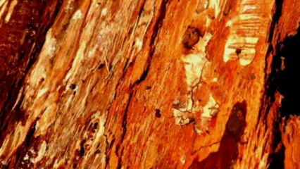 sensaya - piano solo - le feu de la rivière bleue