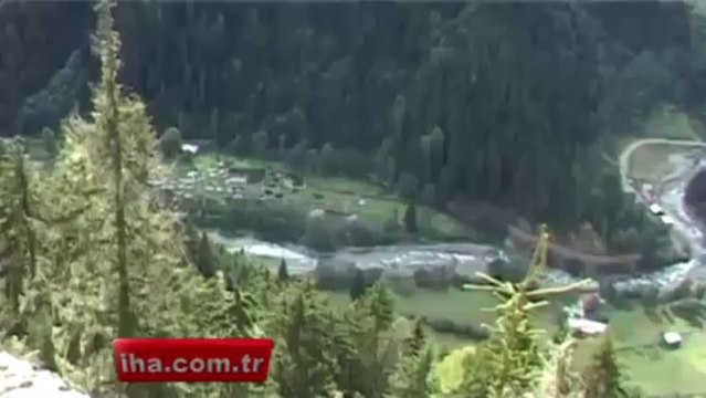 Rize’de Aç Bir Ayı Alabalık Çiftliğini Bastı VİDEO - olay53.com