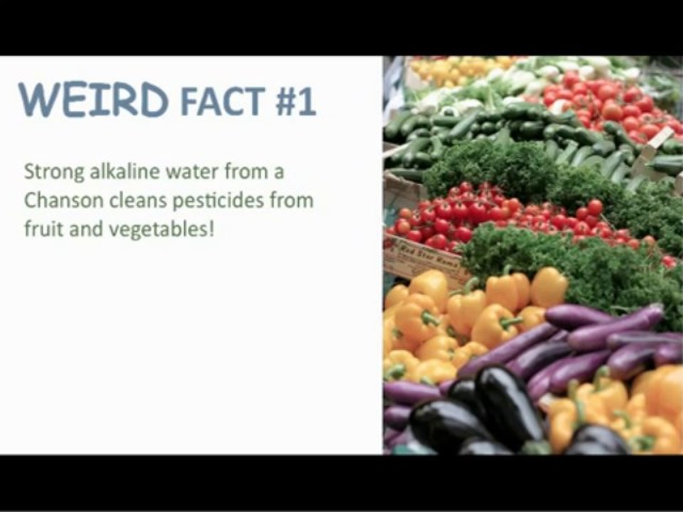 BONUS Alkaline Diet Plan:  An Online Alkaline Diet Program FREE When You Buy an Ionizer