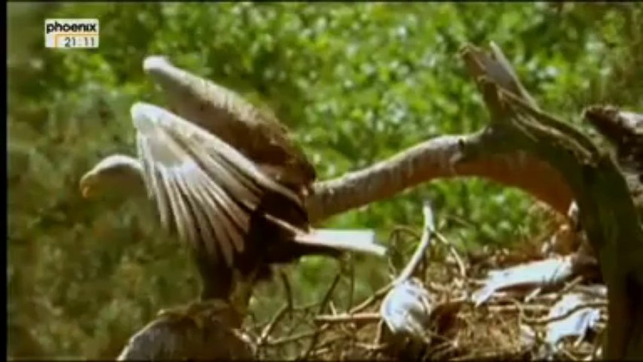 Die_seltensten_Tiere_der_Welt