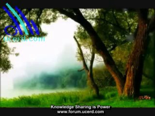 Surat Yā-Sīn - UCERD - Gathering Intellectuals