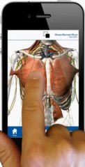 Human Anatomy Atlas tutorial (iPhone)