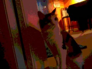 Crystal Palace Quartet...Francini...La Vi Llegar (Tango)