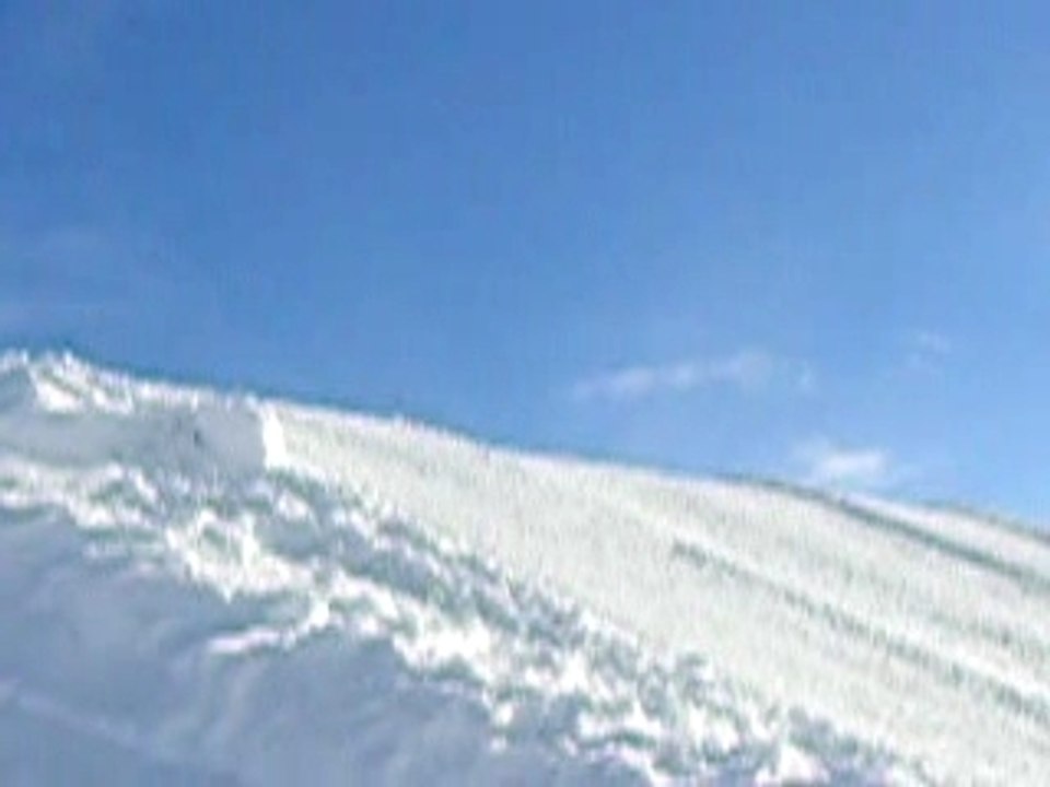 l'envolé sauvage de Dave