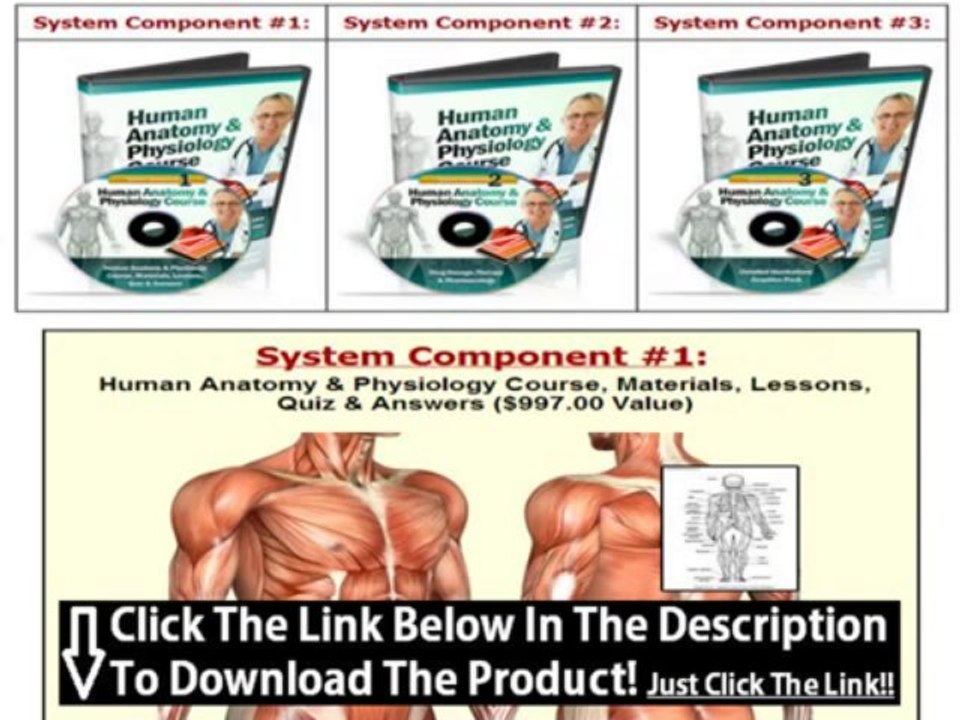 Human Anatomy & Physiology Course By Dr James Ross + Online Human Anatomy Course Free