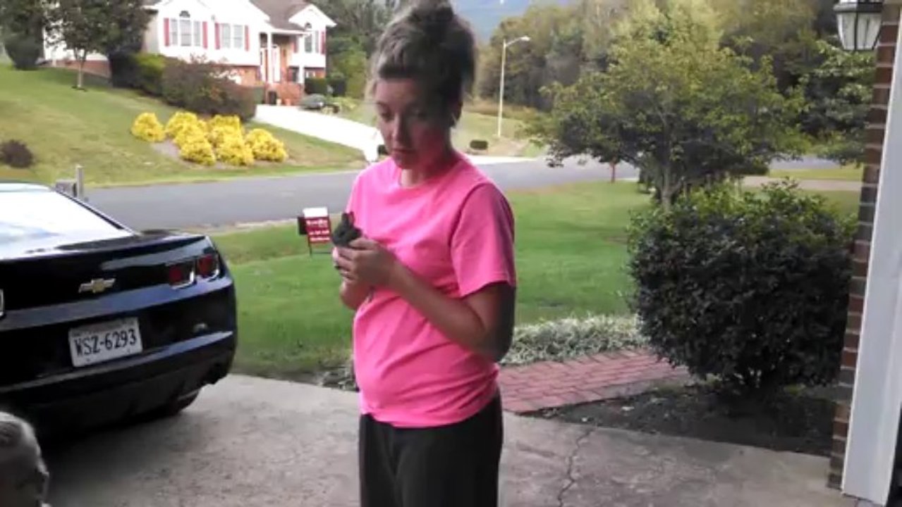 Les lapins peuvent voler