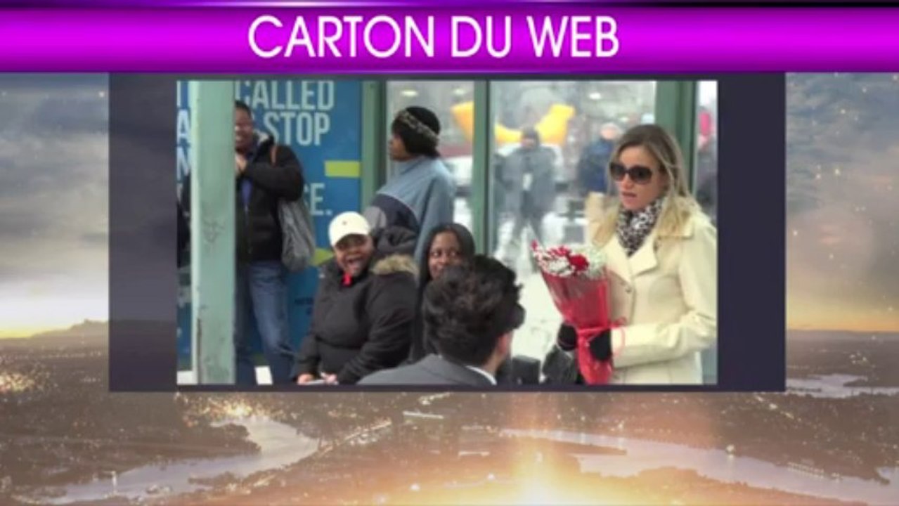 Le carton du web