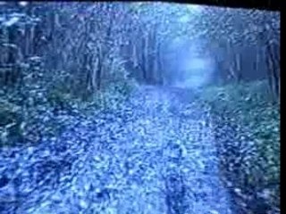 mon vw 181 dans la boue