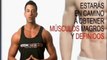 maximizador de musculos como un fisiculturista en ESPAÑOL