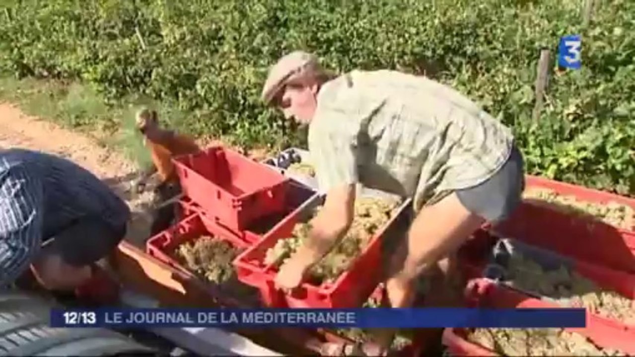 France 3 - Journal de la Méditerranée - Samedi 28 septembre