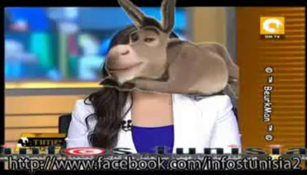 عاجل للنشر على كل الصفحات هعهعع تمرد تعلن جمع أكثر من 2ر2 مليون توقيع للمطالبة بحل الحكومة