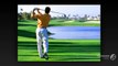 The Simple Golf Swing System | The Simple Golf Swing By David Nevogt