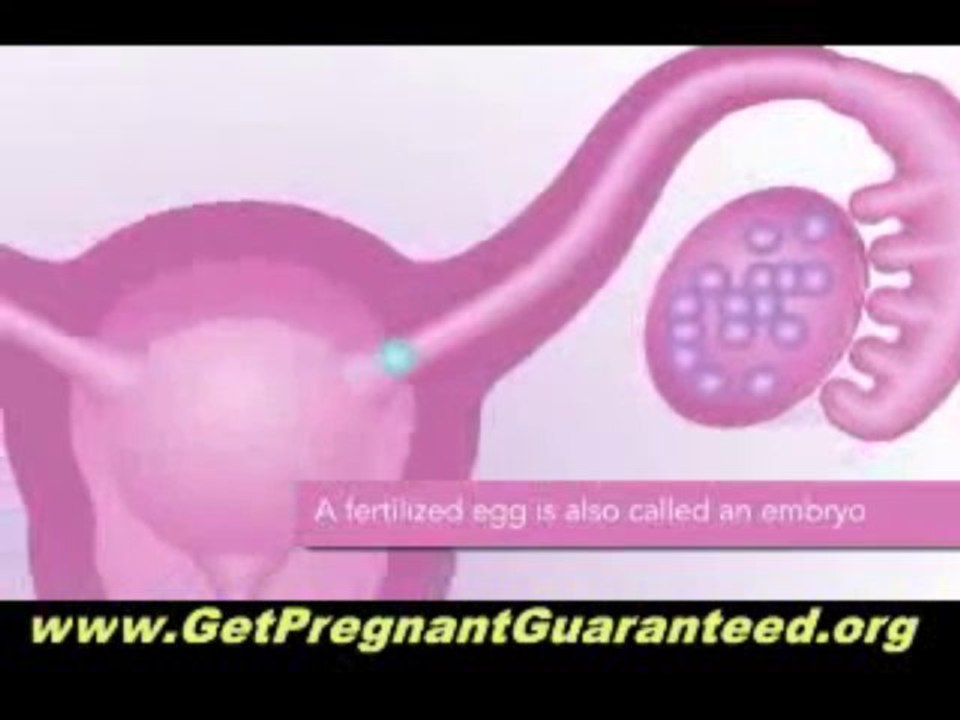 Pregnancy Miracle Review - A Holistic Approach To Getting Pregnant