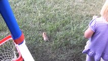 A Cute Little Bunny Learns How To Fly