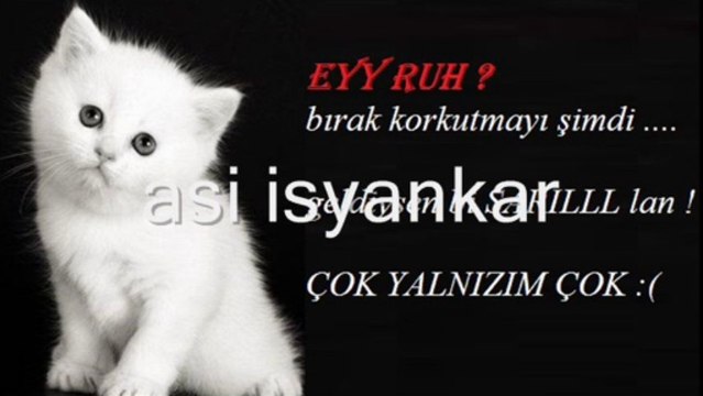 tuncay tuncel yıllar utansın