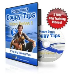The Online Dog Trainer Review + Bonus