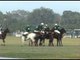 Royal sport of horse polo in New Delhi, India