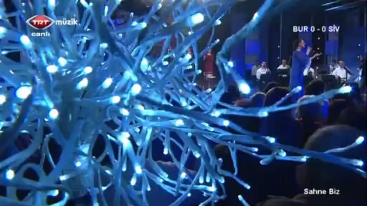 03 serpil sarı cemile'nin gezdiği dağlar meşeli 28.02.2013 sahne biz