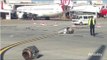 Planes collide at Melbourne airport