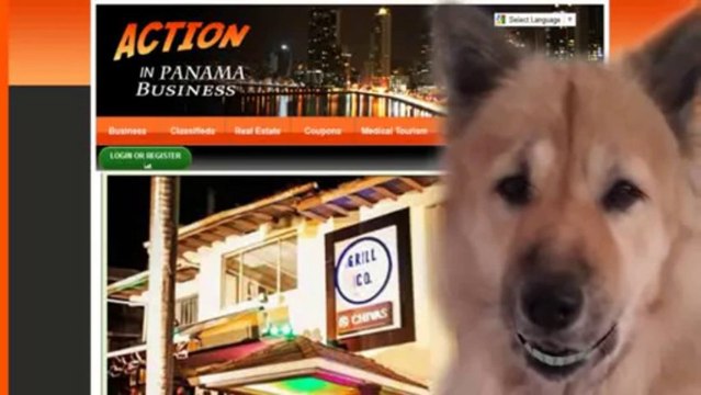 Display Advertising en PTY Display Advertising