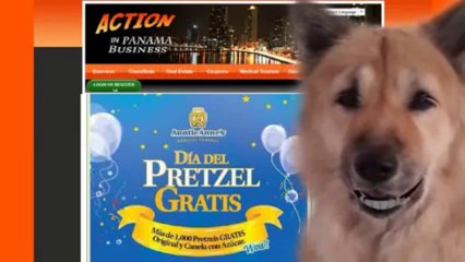 business network  en panama business network