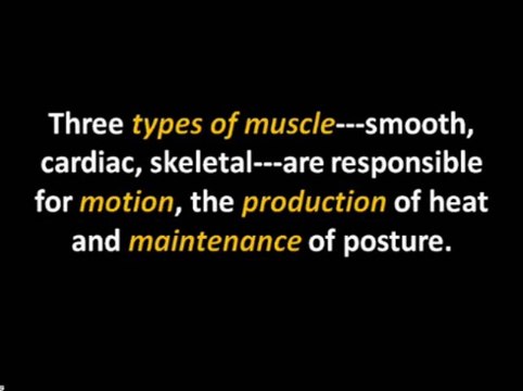 Human Body | Human Anatomy and Physiology