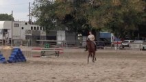 Kazakh Cheval de Dressage A Vendre