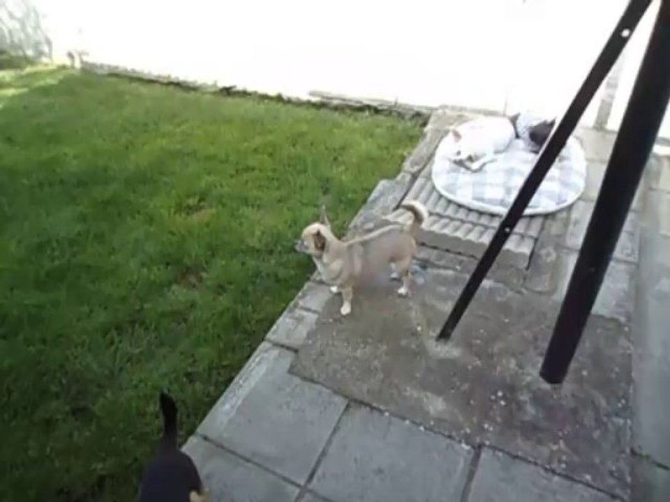 les derniers rayons de soleil