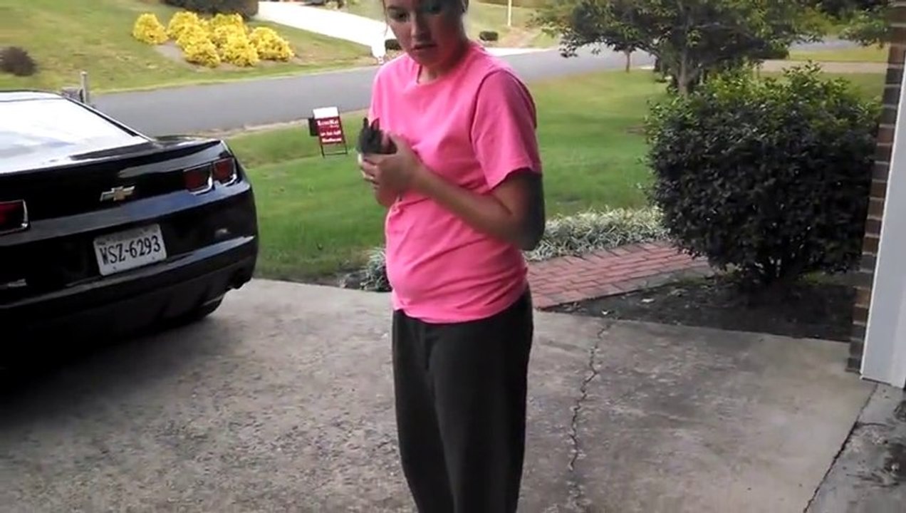 Bunnies can fly...and die! Hawk 1, Rabbit 0!