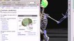 Learn Human Anatomy The EASY WAY. 3D Virtual Software