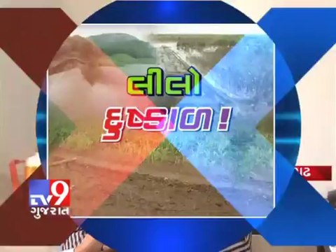 Tv9 Gujarat - Heavy rainfall damages kharif crops in Gujarat