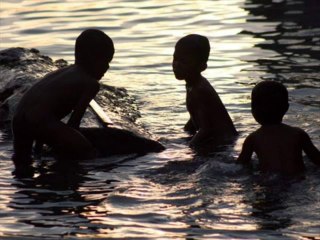 Survive Water Crisis Review